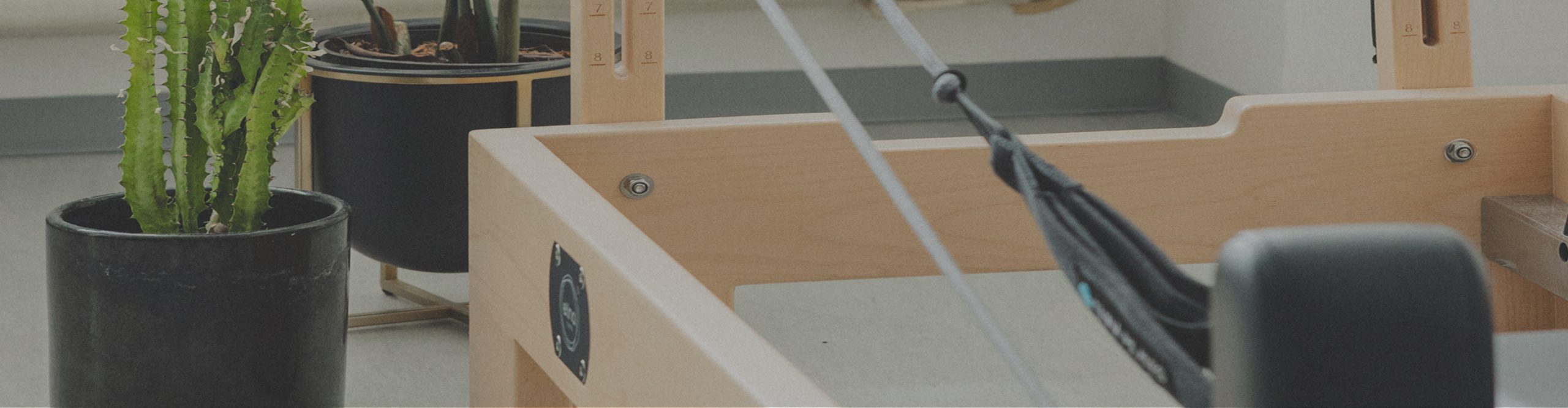 MlbFitnessについてのサムネイル